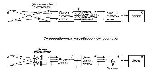 Схематическое сопоставление систем бионической (зрительной) и кибернетической (телевизионной).